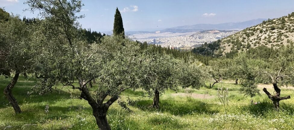 Visiter Athènes : La vue depuis la forêt de Kaisariani Kessariani
