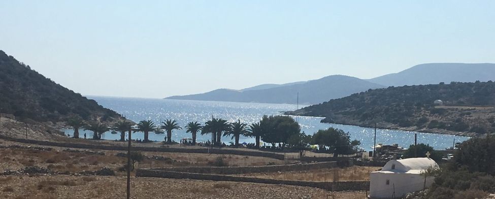 plage de Panermos à Naxos, bordée de palimiers