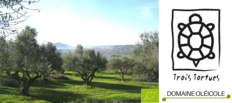 L'oliveraie Bio © Trois Tortues agrotourisme ecogite, , ecotourisme vacances nature
