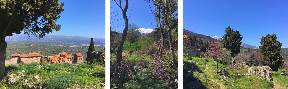 Mystra au printemps, montagnes enneigées, fleurs colorées et soleil