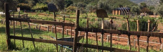 farmamoo jardins collectifs, potagers, ferme athènes nea makri