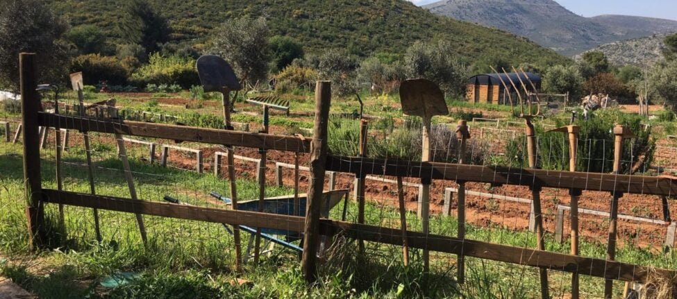 farmamoo jardins collectifs, potagers, ferme athènes nea makri