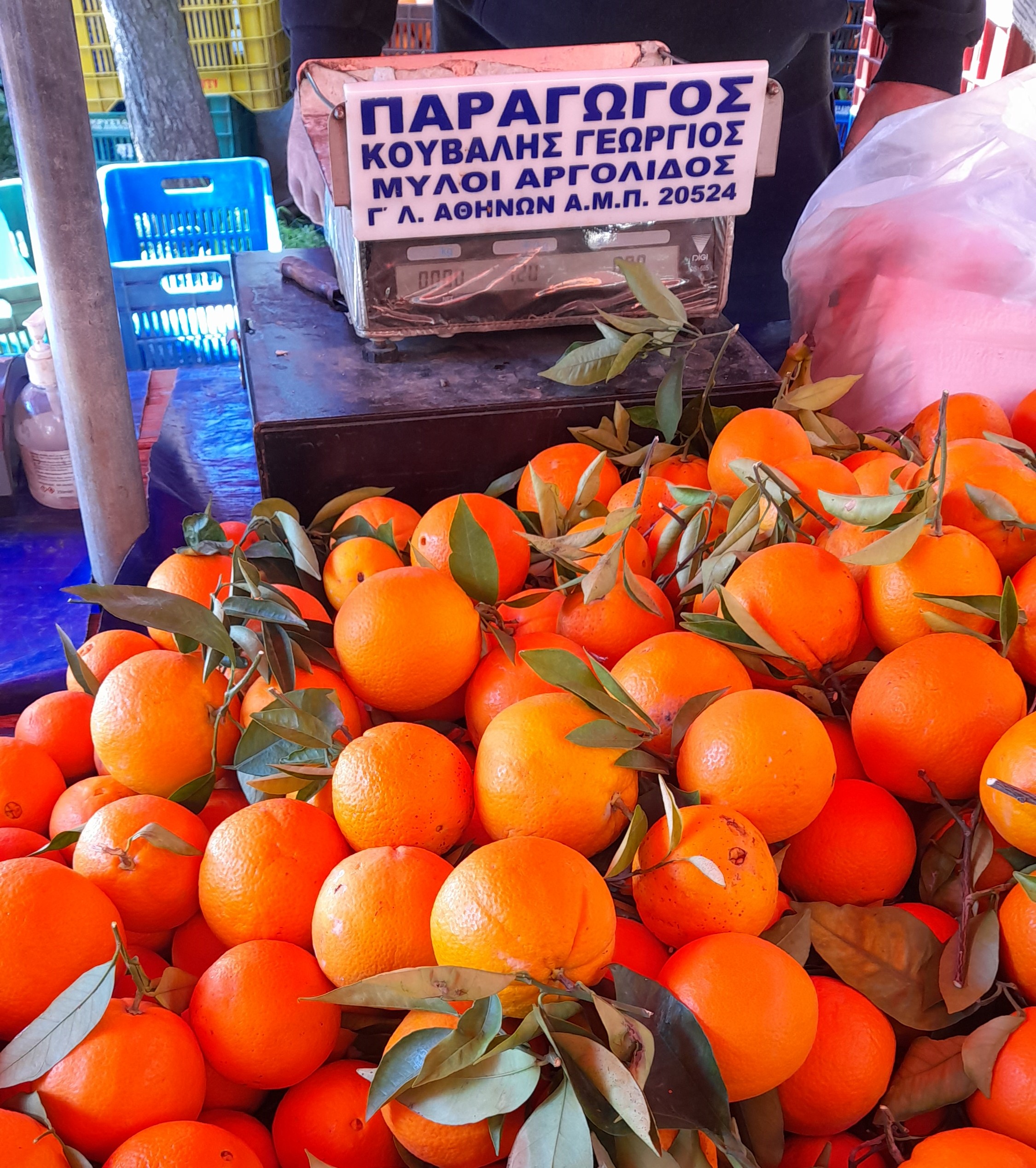 reconnaitre les producteurs sur les marchés en Grèce