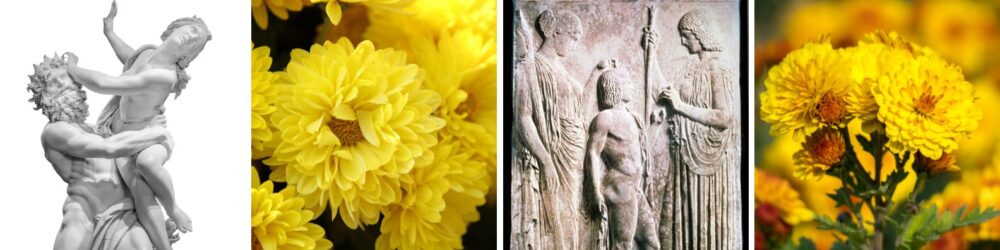 persephone, chrysanthème, mythe de l'automne en Grèce