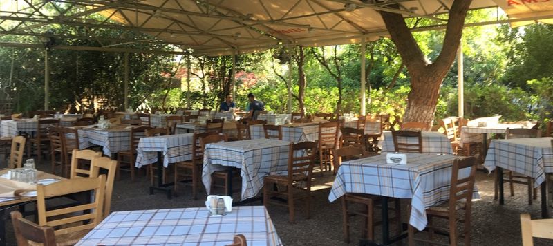 steki tou ilia restaurant avec jardin terrasse thissio athènes