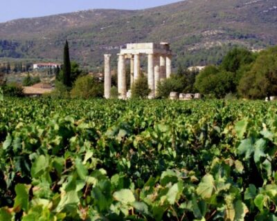 Route des vins Néméa Péloponnèse domaine Papaioannou