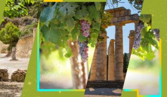 route des vins et site archéologique