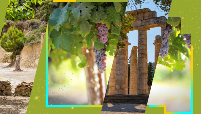 route des vins et site archéologique