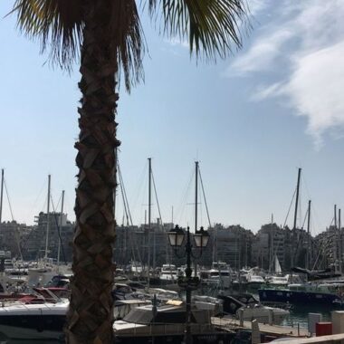 voiliers et palmiers à Zea Marina au Pirée