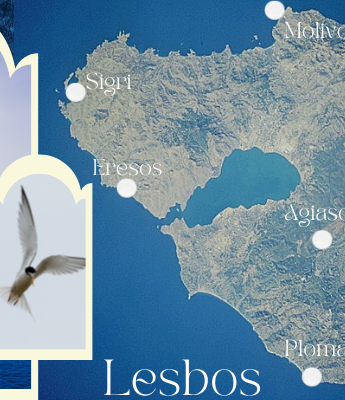 carte de Lesbos villes