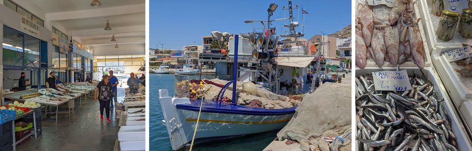 Marché aux poissons et port de Salamine