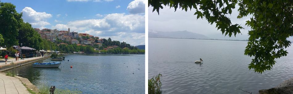 Lac de Kastoria, ville et nature avec pelican