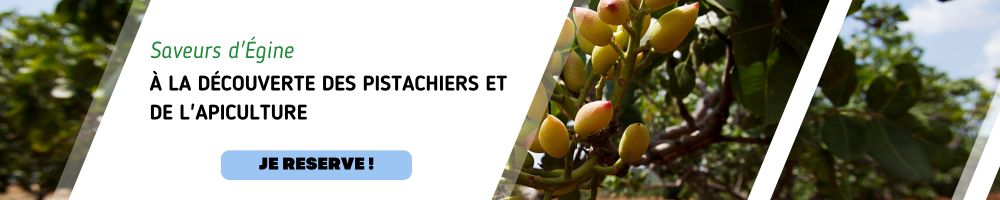 Visites guidées d'Egine découverte des pistachiers et d'un apiculteur en francais