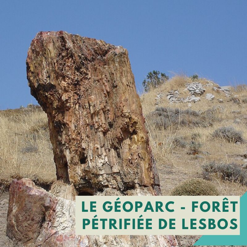 Géoparc de la forêt pétrifiée de Lesbos